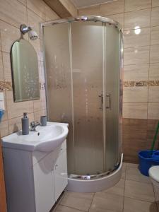 a bathroom with a shower and a sink at Apartament Rose Stalowa Wola in Stalowa Wola