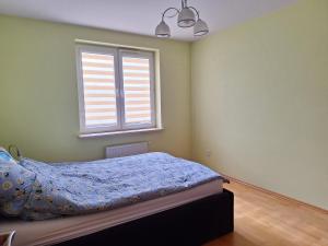 a bedroom with a bed and a window at Apartament Rose Stalowa Wola in Stalowa Wola