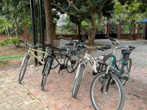 un grupo de bicicletas estacionadas una al lado de la otra en La maison bleue BTB, en Phumĭ Kâmpóng Âmpĭl