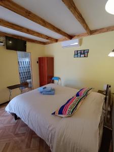 a bedroom with a bed with a pillow on it at Hostal Km Zero El Huertillo in San Pedro de Atacama