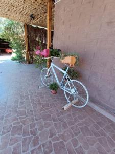 a bike with a basket parked next to a wall at Hostal Km Zero El Huertillo in San Pedro de Atacama