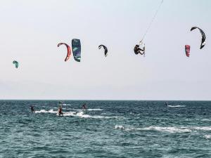 Επισκέπτες που μένουν στο SunView Studio