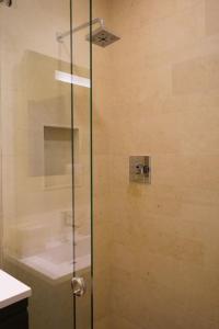 una ducha con una puerta de cristal junto a un lavabo en Spectacular apartment in levent eagle beach, en Palm-Eagle Beach