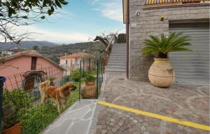 a dog standing on the fence of a house at 2 Bedroom Amazing Apartment In Moneglia in Moneglia