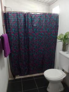 a bathroom with a shower curtain and a toilet at Esquina Sur in Esquina