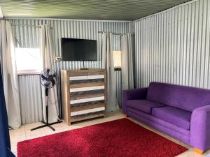 ein Wohnzimmer mit einem lila Sofa und einem TV in der Unterkunft The Butterfly House in Bendalong in Manyana