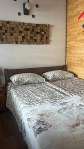 1 dormitorio con 2 almohadas en Готель Колиба Колорит, en Tatariv