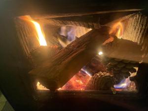 Ogień w piecu z jedzeniem w obiekcie Basic, Super 'Cosy' Cabin in The Middle of National Park and Mountains w mieście Otira