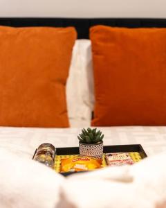 ein Tablett mit Essen und einen Kaktus auf dem Bett in der Unterkunft TQ luxurious 2 bed flat in Birmingham