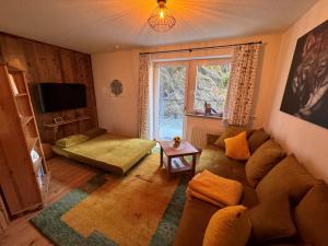 ein Wohnzimmer mit einem Sofa und einem Fenster in der Unterkunft Kallis Appartement in Mayrhofen