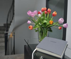 Fotografie z fotogalerie ubytování Tandem Hotel v destinaci Bamberg
