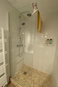 a bathroom with a shower with a glass door at Chez Moon centre ville historique in Vernon