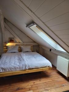 1 dormitorio con 1 cama en un ático con ventana en Alte Schule Brodowin, en Chorin