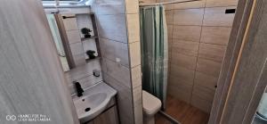 a bathroom with a shower and a toilet and a sink at Η Αρμενόπετρα in Gerolimenas