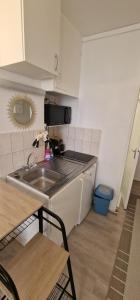 eine kleine Küche mit einer Spüle und einer Theke in der Unterkunft Appartement Jasmin 16ème in Paris