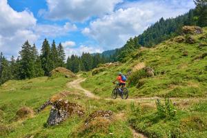 a person riding a bike on a grassy hill at Hotel Alpennest - Mountain Hideaway in Leutasch in Leutasch