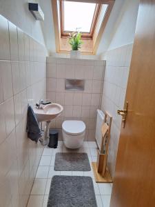 a bathroom with a toilet and a sink and a window at Ferienwohnung-Felisa in Peterswörth
