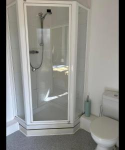 uma cabina de duche na casa de banho com WC em Bonny Moor Hen em Stanhope