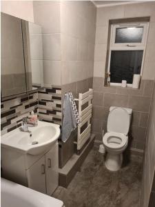 uma casa de banho com um WC branco e um lavatório. em Lovely luxury one bedroom flat em Londres