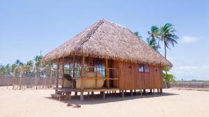 une petite cabane avec un toit de paille sur une plage dans l'établissement TATA BEACH, à Cadjèhoun