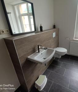 La salle de bains est pourvue d'un lavabo, de toilettes et d'un miroir. dans l'établissement FEWO an der ZWÄNS, à Stollberg/Erzgeb.