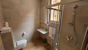a bathroom with a shower and a toilet and a sink at Apartments D035 & D032 in Aparthotel Vucko, Jahorina-private host in Jahorina