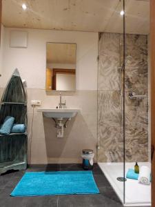 een badkamer met een wastafel en een douche bij Haus Berghof in Gries am Brenner