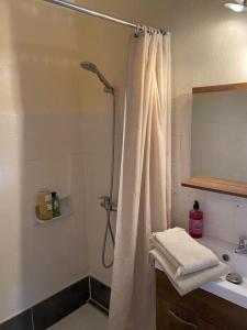 bagno con doccia e tenda doccia di Maison de village panoramique a Châteauneuf-du-Pape