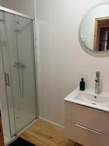 ein Bad mit einer Dusche, einem Waschbecken und einem Spiegel in der Unterkunft Le floral in Carcassonne