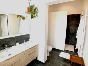 a bathroom with a sink and a toilet at Maison d'hôtes La Doucelle in Lignieres-Orgeres