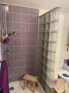 a bathroom with a shower and a toilet at Maison de charme d'Ile de France in Chaumontel