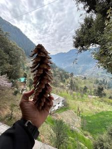 Paesaggio naturale nelle vicinanze dell'ostello