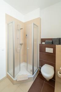 uma casa de banho com um chuveiro e um WC. em Hotel Weisses Ross em Konnersreuth