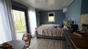 a bedroom with a bed with blue walls and a window at B&B/Tiny House Bij Zee in Stellendam