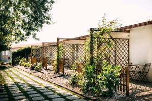a garden with plants and a fence at Quinta Das Essências in Penafiel