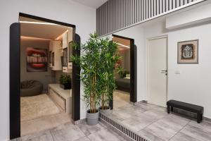 a hallway with potted plants in a room at Modern Studio Escape in Timişoara