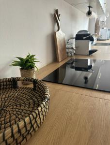a room with a glass table with a plant on the floor at Deluxe Loftapartement Big Size in Duisburg