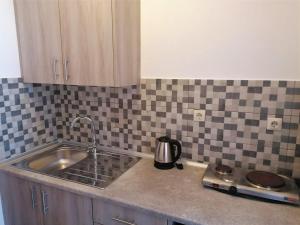 a kitchen counter with a sink and a tea kettle at Nikos Apartments 1 in Kavos +15 photos