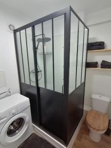 a bathroom with a washing machine and a toilet at Appartement 50m² centre-ville in Dunkerque