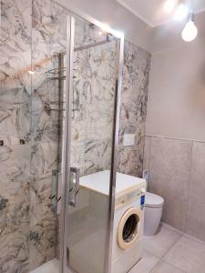 a shower with a washing machine in a bathroom at La casetta di Rosa - Lentella in Lentella +12 photos