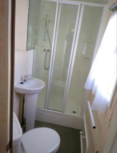 a bathroom with a shower and a toilet and a sink at Caravan Holidays at Sand le mere in Tunstall