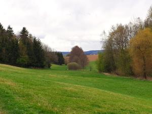 a field of green grass with trees in the background at Ferienwohnung ErzHome in Marienberg
