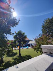 Κήπος έξω από το Apartman Avlija