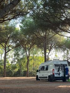 a white van parked in a parking lot with trees at Area Sosta La Pampa in Marina di Grosseto