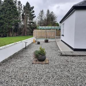 a backyard with a fence and a potted plant at Cheerful three bedroom country cottage in Ballina