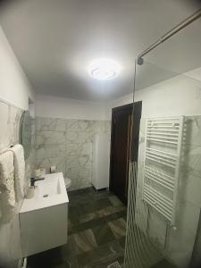 a bathroom with a sink and a glass shower at White River 60 in Câmpulung Moldovenesc