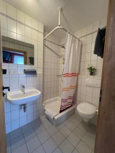 W łazience znajduje się umywalka, toaleta i prysznic. w obiekcie Hotel Weisses Ross w mieście Konnersreuth