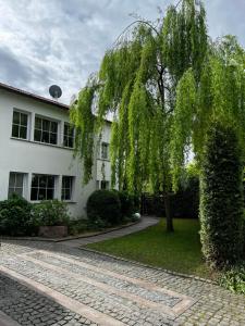 uma árvore em frente a um edifício branco em Exklusives Refugium- Privat-Boardinghouse Meerbusch - Ihre Oase nahe der Messe Düsseldorf em Meerbusch