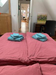 a bed with two pillows on top of it at Dachwohnung Nähe Clemenshospital in Münster