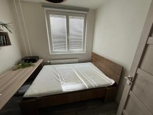 En eller flere senge i et værelse på Apartment Maluchy